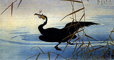 Cormorant With Fish 22x30 Ltd. Edition Japanese Print by Koson Asian art Japan  picture