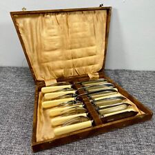 Vintage Chrome NS Plate 6 Fish Knives & Fork Cutlery Set Boxed Faux Bone Handle picture