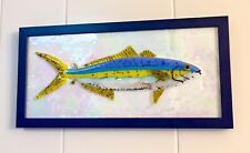 Framed Fused Glass Rainbow Runner Fish Hand Crafted Highly Detailed picture